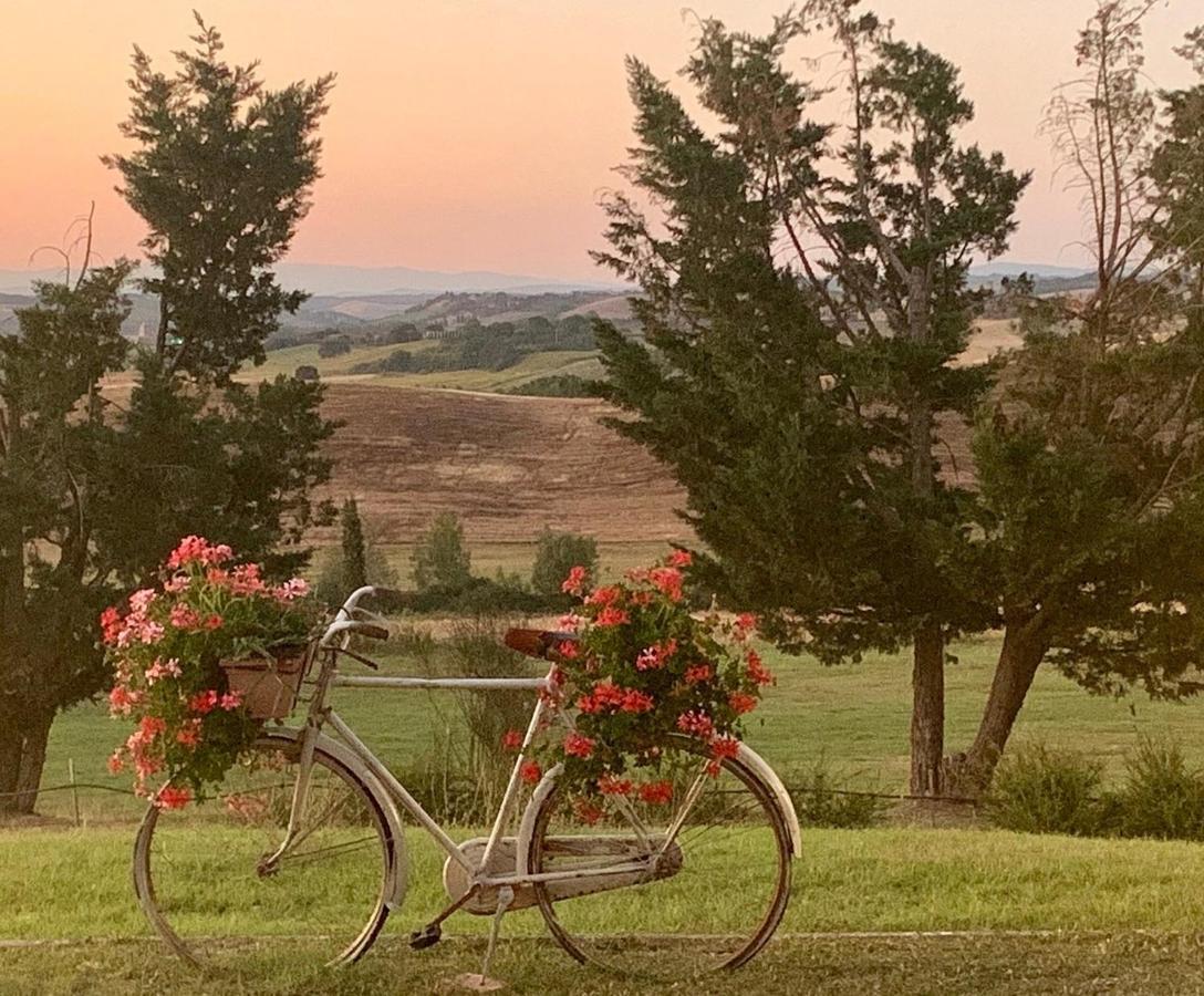 Wine Resort Colsereno Montalcino Exterior foto