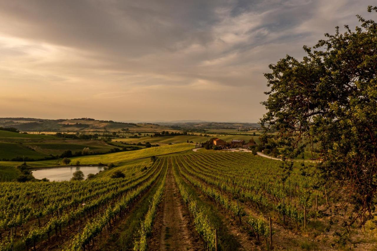 Wine Resort Colsereno Montalcino Exterior foto