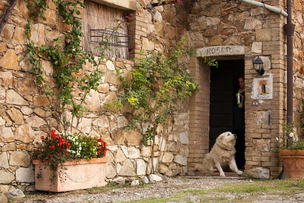 Wine Resort Colsereno Montalcino Exterior foto