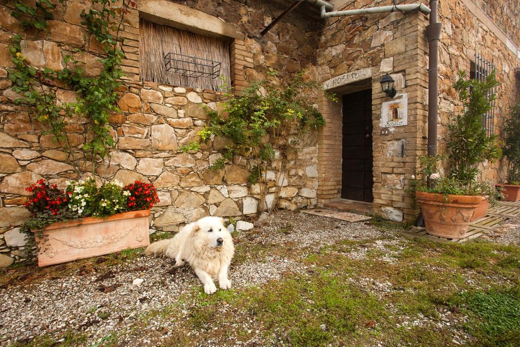 Wine Resort Colsereno Montalcino Exterior foto