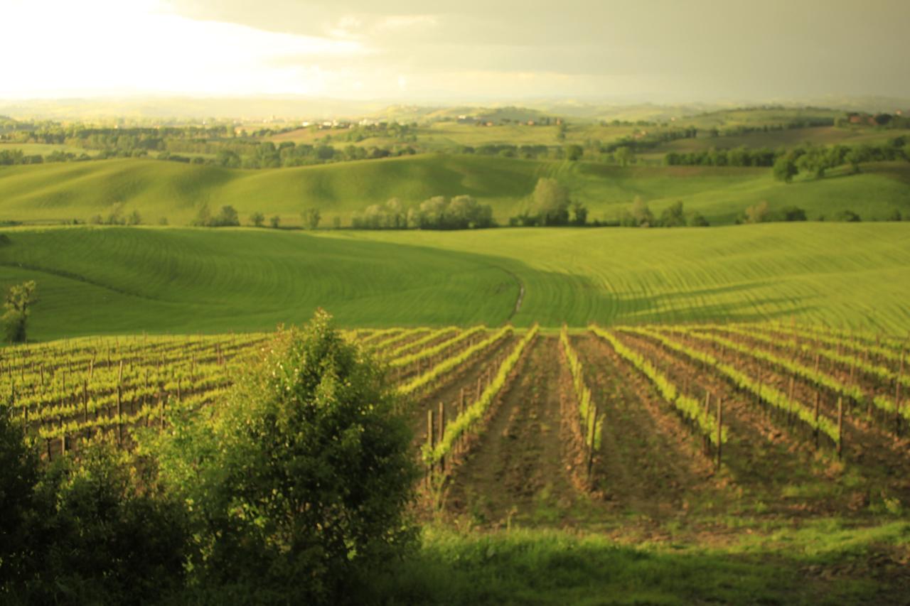 Wine Resort Colsereno Montalcino Exterior foto