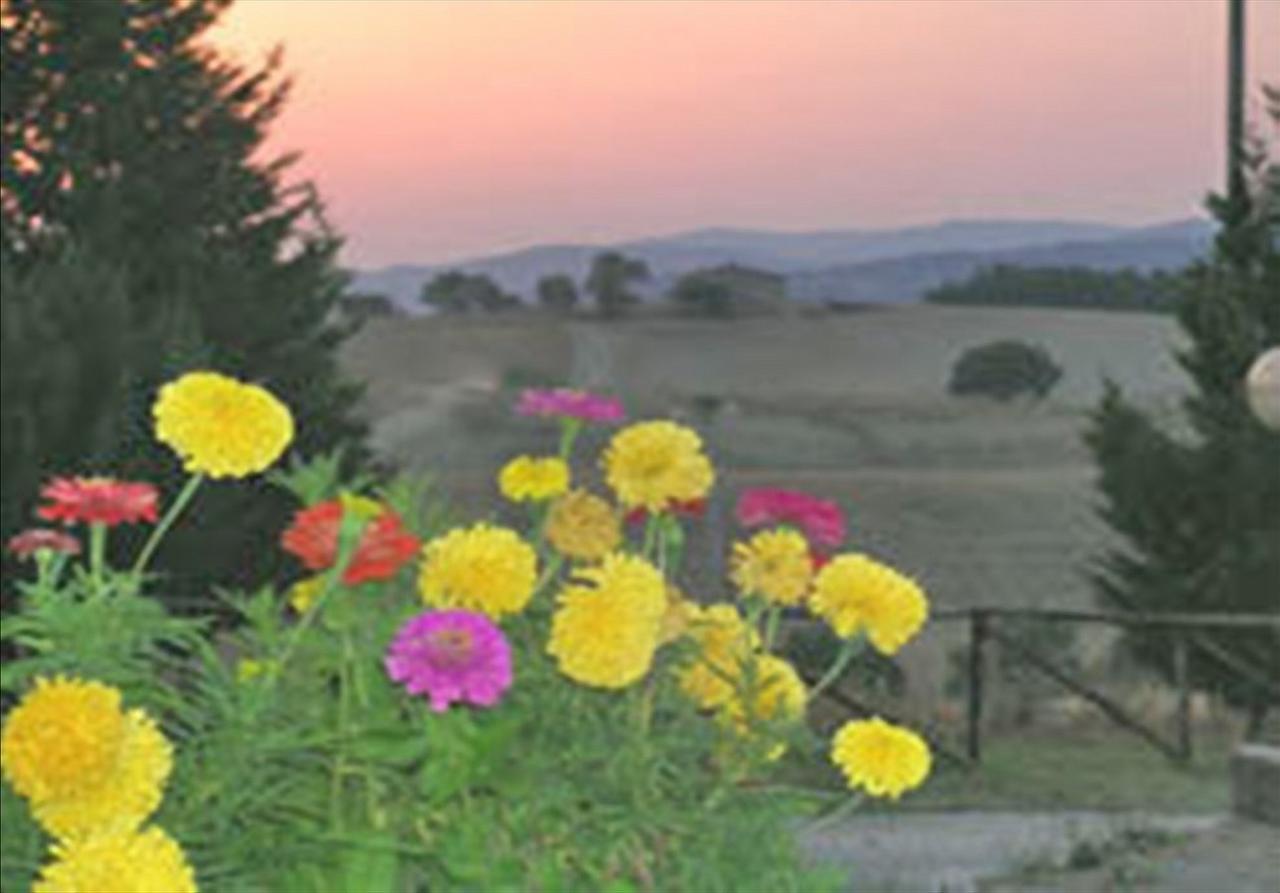 Wine Resort Colsereno Montalcino Exterior foto