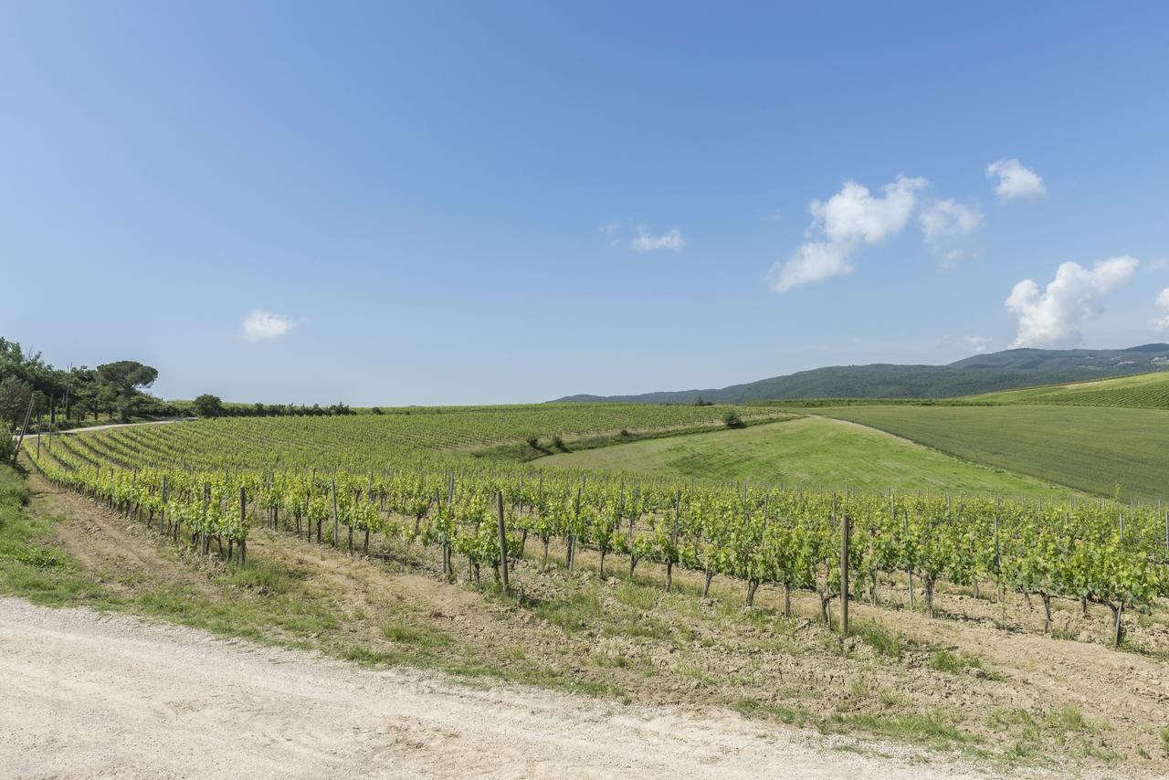 Wine Resort Colsereno Montalcino Exterior foto