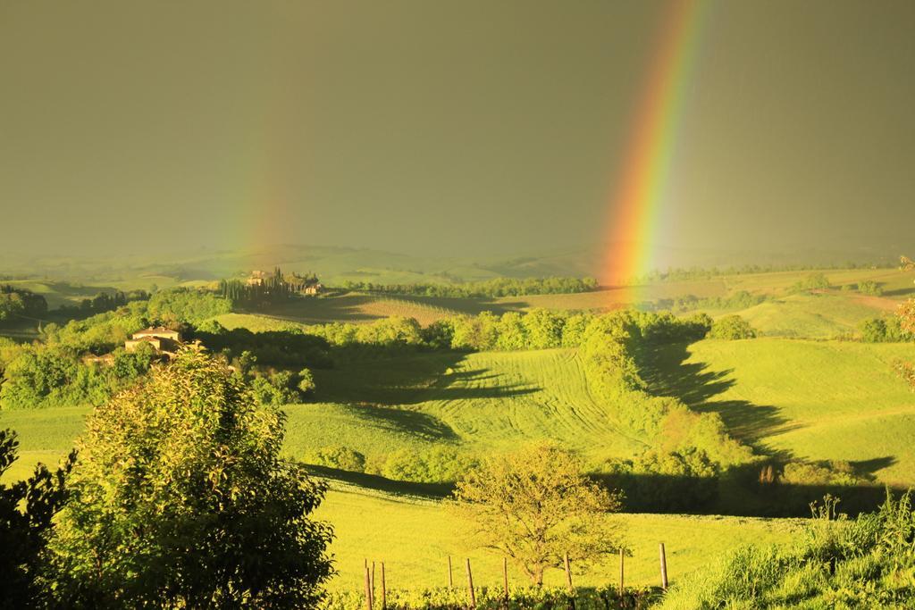 Wine Resort Colsereno Montalcino Exterior foto